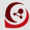 dgp icon